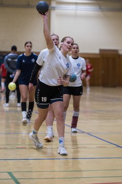 Bild 97 - F TSV Ellerau - HSG Tills Loewen 08 : Ergebnis: 16:18
